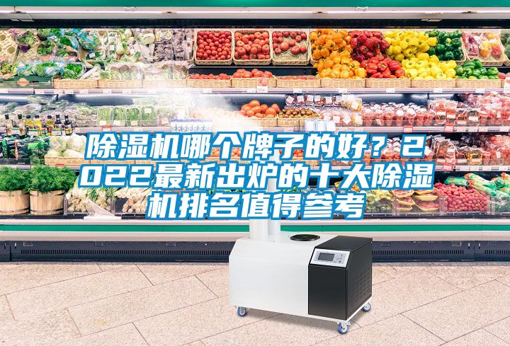 麻豆视频黄网站哪个牌子的好？2022最新出炉的十大麻豆视频黄网站排名值得参考