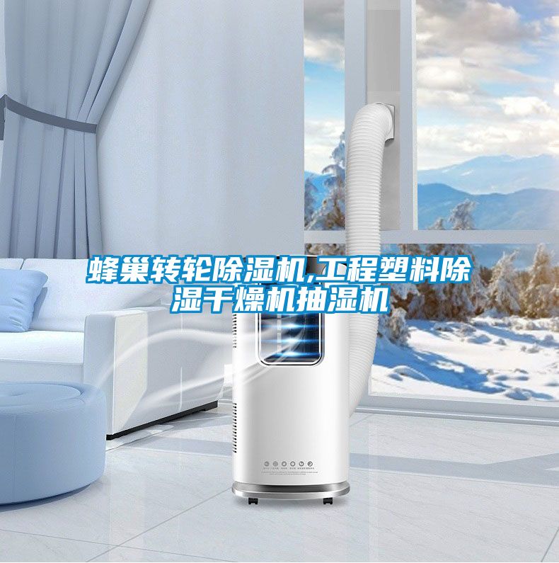 蜂巢转轮麻豆视频黄网站,工程塑料除湿干燥机抽湿机