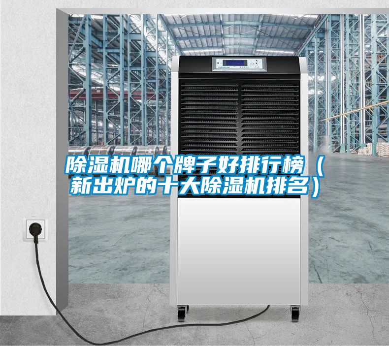 麻豆视频黄网站哪个牌子好排行榜（新出炉的十大麻豆视频黄网站排名）
