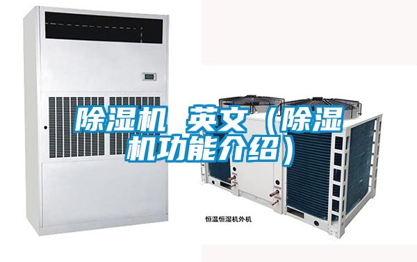 麻豆视频黄网站 英文（麻豆视频黄网站功能介绍）
