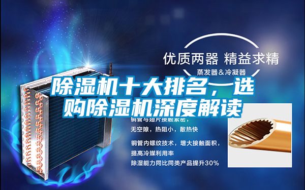 麻豆视频黄网站十大排名，选购麻豆视频黄网站深度解读