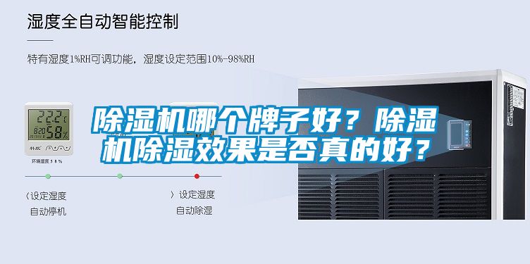 麻豆视频黄网站哪个牌子好？麻豆视频黄网站除湿效果是否真的好？