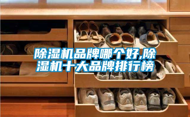 麻豆视频黄网站品牌哪个好,麻豆视频黄网站十大品牌排行榜