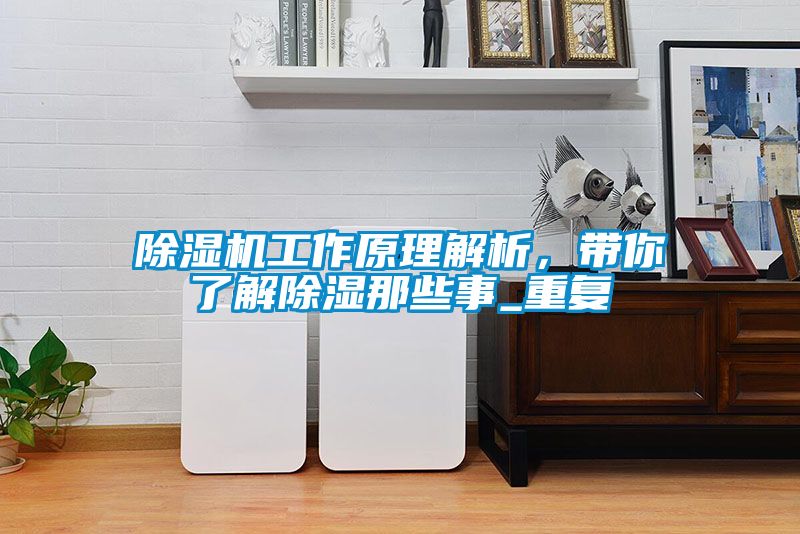 麻豆视频黄网站工作原理解析，带你了解除湿那些事_重复