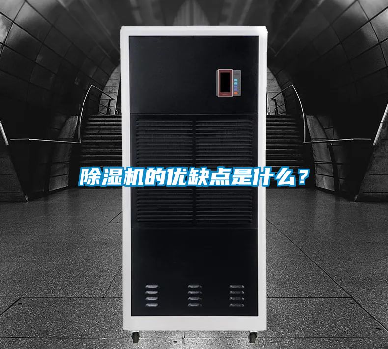 麻豆视频黄网站的优缺点是什么？