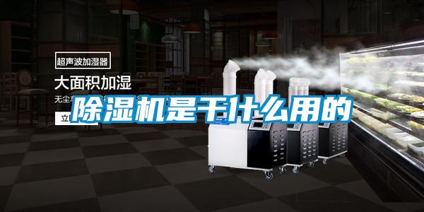 麻豆视频黄网站是干什么用的