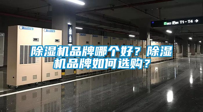 麻豆视频黄网站品牌哪个好？麻豆视频黄网站品牌如何选购？