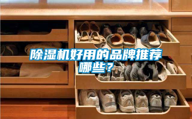 麻豆视频黄网站好用的品牌推荐哪些？