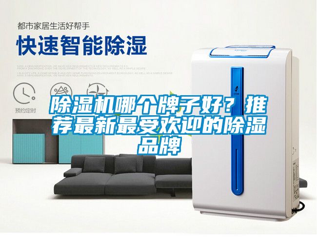 麻豆视频黄网站哪个牌子好？推荐最新最受欢迎的除湿品牌