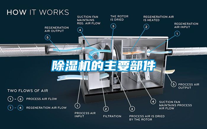 麻豆视频黄网站的主要部件