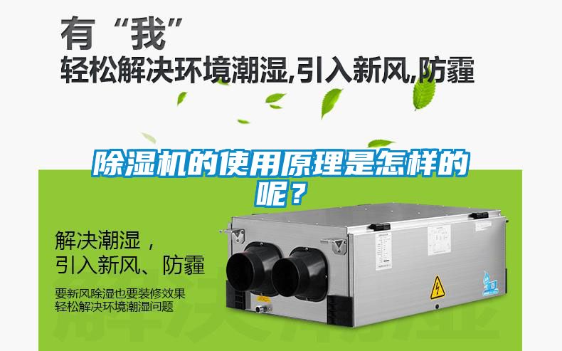 麻豆视频黄网站的使用原理是怎样的呢？