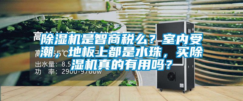 麻豆视频黄网站是智商税么？室内受潮，地板上都是水珠，买麻豆视频黄网站真的有用吗？