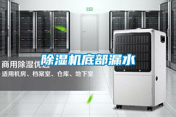 麻豆视频黄网站底部漏水