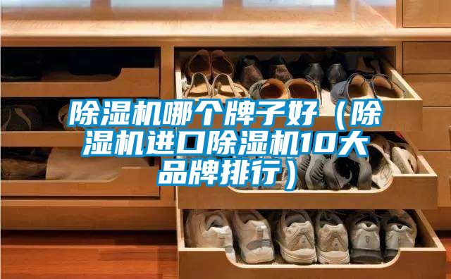 麻豆视频黄网站哪个牌子好（麻豆视频黄网站进口麻豆视频黄网站10大品牌排行）