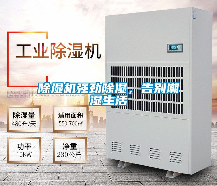 麻豆视频黄网站强劲除湿，告别潮湿生活