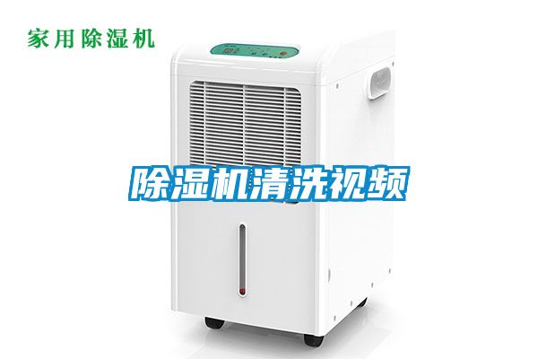 麻豆视频黄网站清洗视频