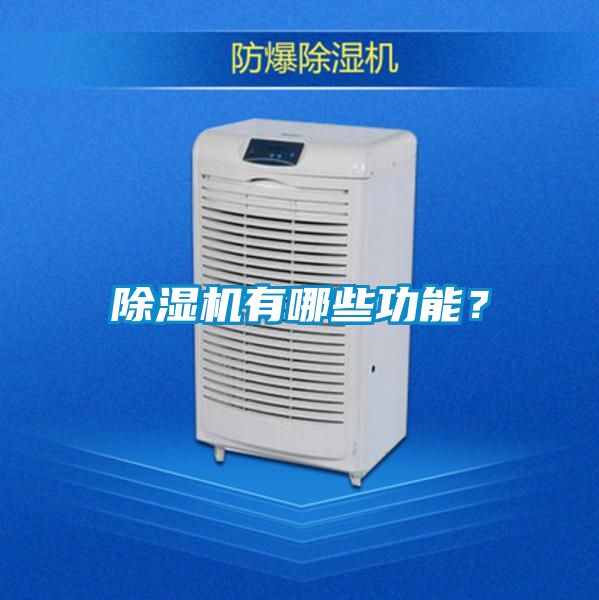 麻豆视频黄网站有哪些功能？