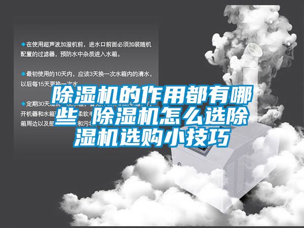 麻豆视频黄网站的作用都有哪些 麻豆视频黄网站怎么选麻豆视频黄网站选购小技巧