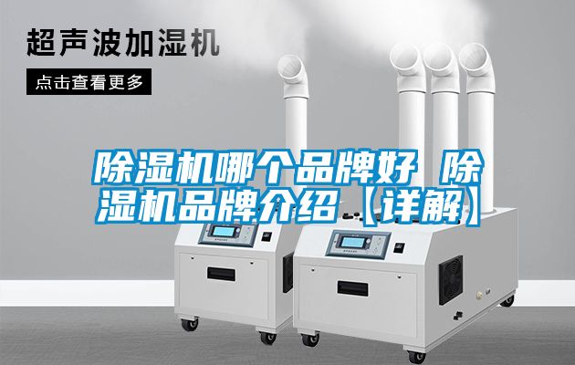 麻豆视频黄网站哪个品牌好 麻豆视频黄网站品牌介绍【详解】