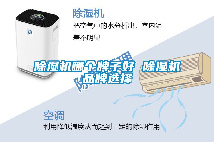 麻豆视频黄网站哪个牌子好 麻豆视频黄网站品牌选择