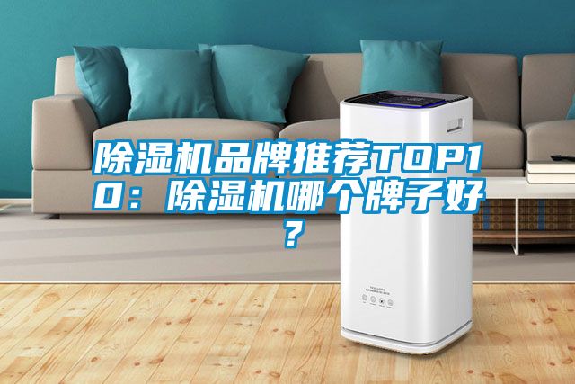 麻豆视频黄网站品牌推荐TOP10：麻豆视频黄网站哪个牌子好？