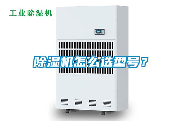 麻豆视频黄网站怎么选型号？