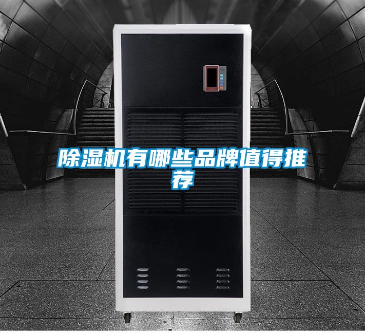麻豆视频黄网站有哪些品牌值得推荐