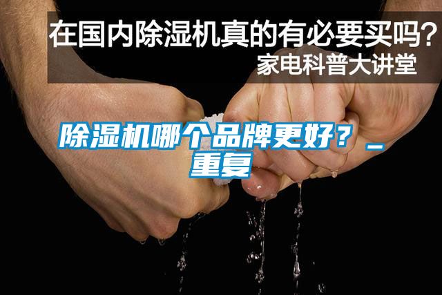 麻豆视频黄网站哪个品牌更好？_重复