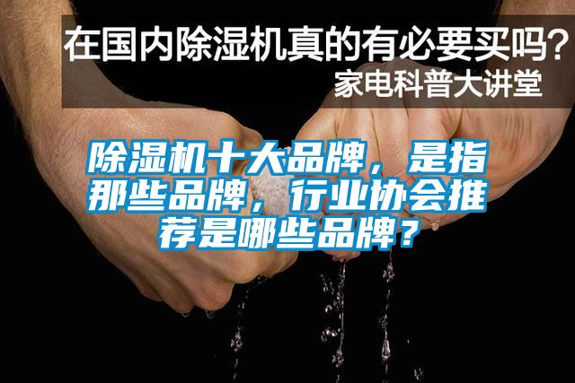 麻豆视频黄网站十大品牌，是指那些品牌，行业协会推荐是哪些品牌？