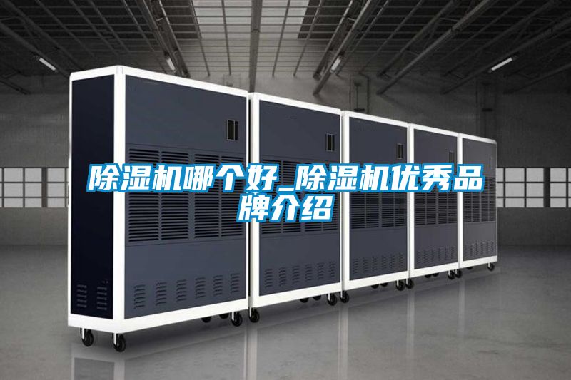 麻豆视频黄网站哪个好_麻豆视频黄网站优秀品牌介绍