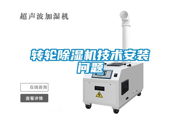 转轮麻豆视频黄网站技术安装问题