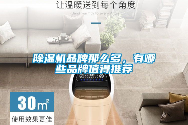 麻豆视频黄网站品牌那么多，有哪些品牌值得推荐