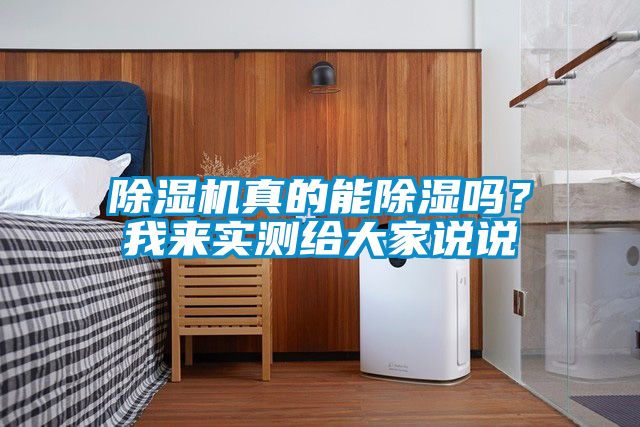 麻豆视频黄网站真的能除湿吗？我来实测给大家说说