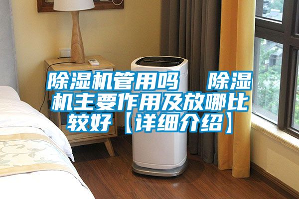 麻豆视频黄网站管用吗  麻豆视频黄网站主要作用及放哪比较好【详细介绍】