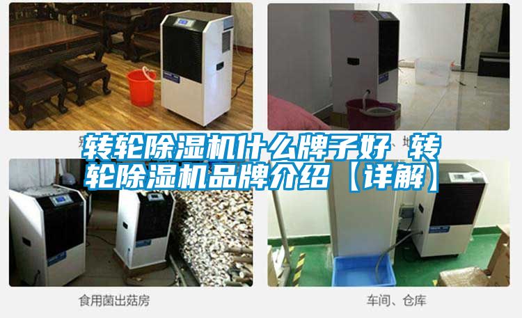 转轮麻豆视频黄网站什么牌子好 转轮麻豆视频黄网站品牌介绍【详解】