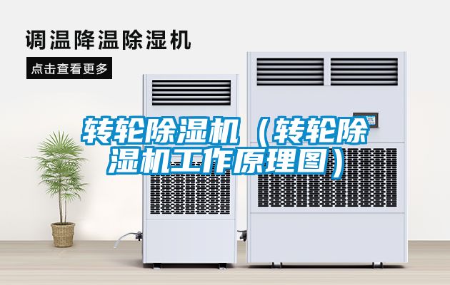 转轮麻豆视频黄网站（转轮麻豆视频黄网站工作原理图）