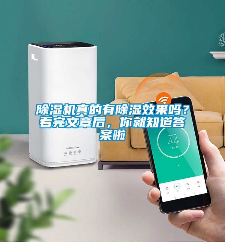 麻豆视频黄网站真的有除湿效果吗？看完文章后，你就知道答案啦