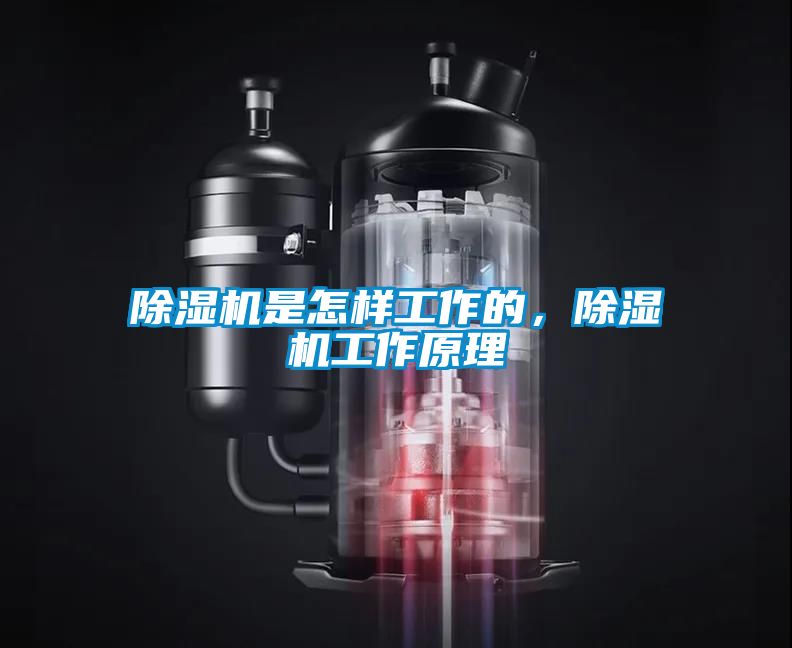 麻豆视频黄网站是怎样工作的，麻豆视频黄网站工作原理