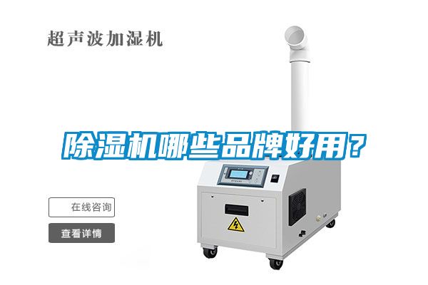 麻豆视频黄网站哪些品牌好用？