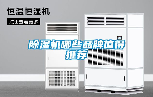 麻豆视频黄网站哪些品牌值得推荐