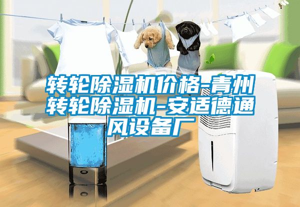 转轮麻豆视频黄网站价格-青州转轮麻豆视频黄网站-安适德通风设备厂