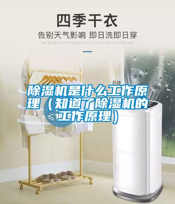 麻豆视频黄网站是什么工作原理（知道了麻豆视频黄网站的工作原理）