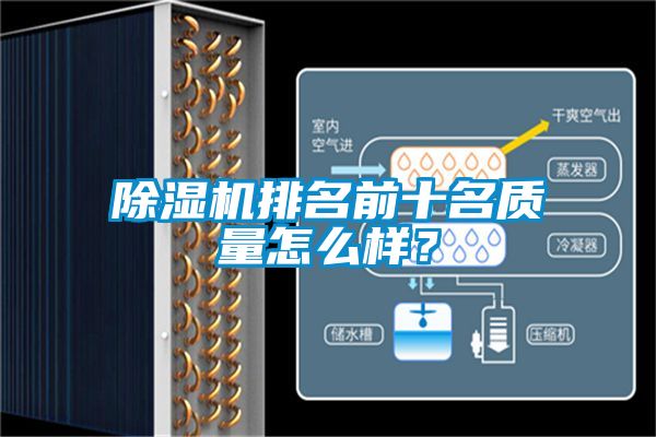 麻豆视频黄网站排名前十名质量怎么样？