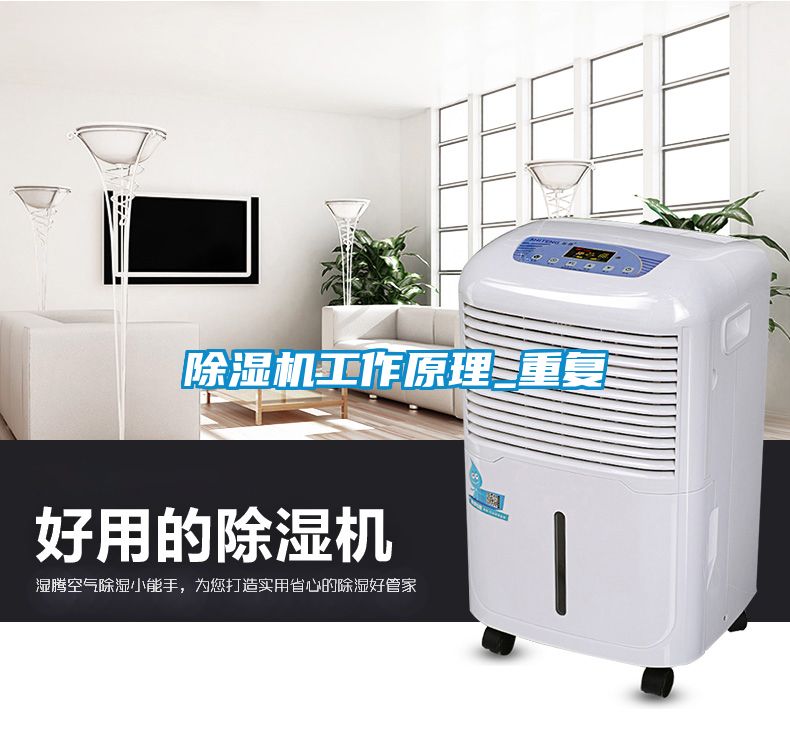 麻豆视频黄网站工作原理_重复