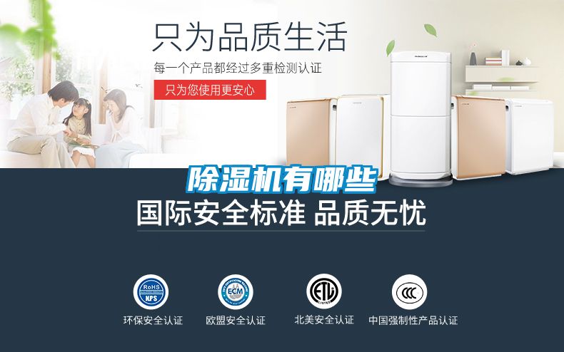 麻豆视频黄网站有哪些