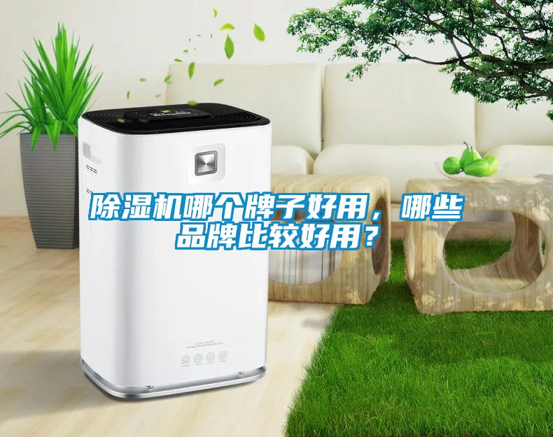 麻豆视频黄网站哪个牌子好用，哪些品牌比较好用？