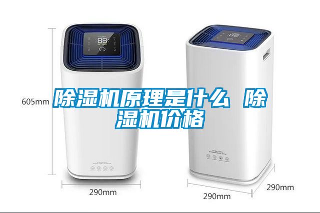 麻豆视频黄网站原理是什么 麻豆视频黄网站价格