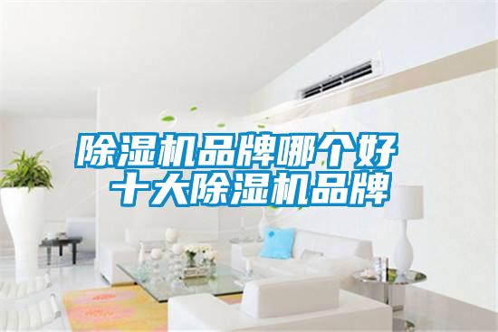 麻豆视频黄网站品牌哪个好 十大麻豆视频黄网站品牌