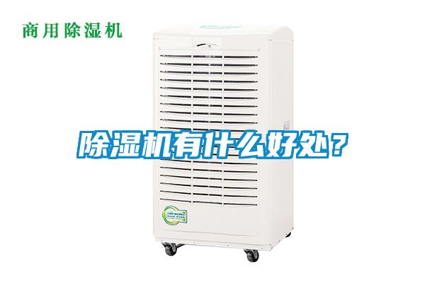 麻豆视频黄网站有什么好处？