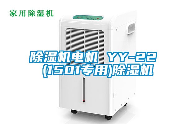 麻豆视频黄网站电机 YY-22 (1501专用)麻豆视频黄网站